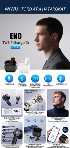 WiWU T29 ENC vezeték nélküli Bluetooth fülhallgató - fekete